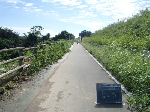 除草作業着工前